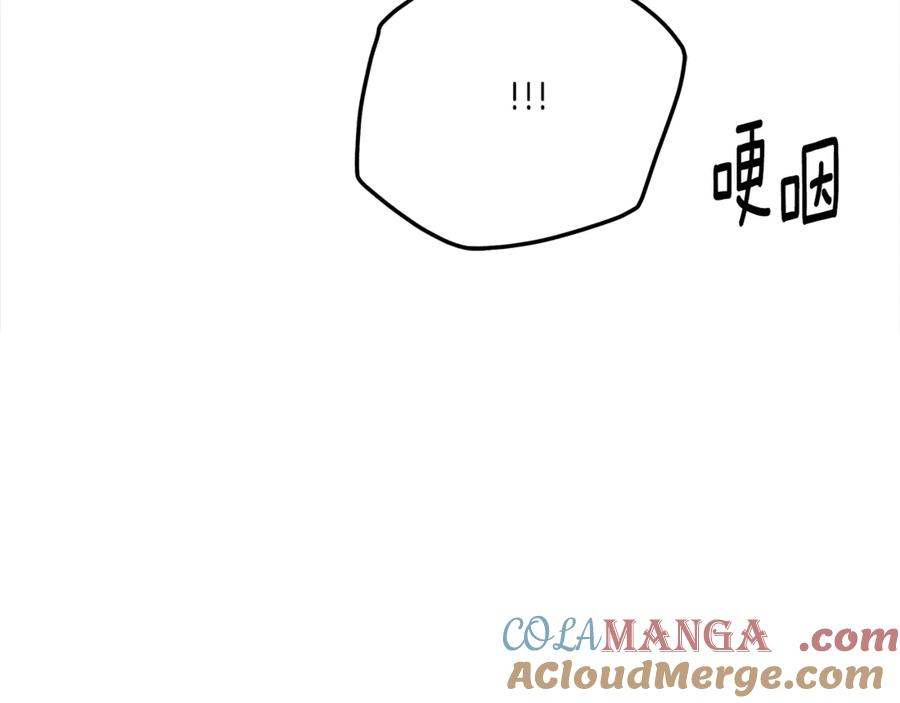 第241页