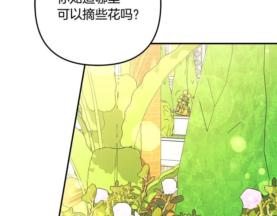 第315页