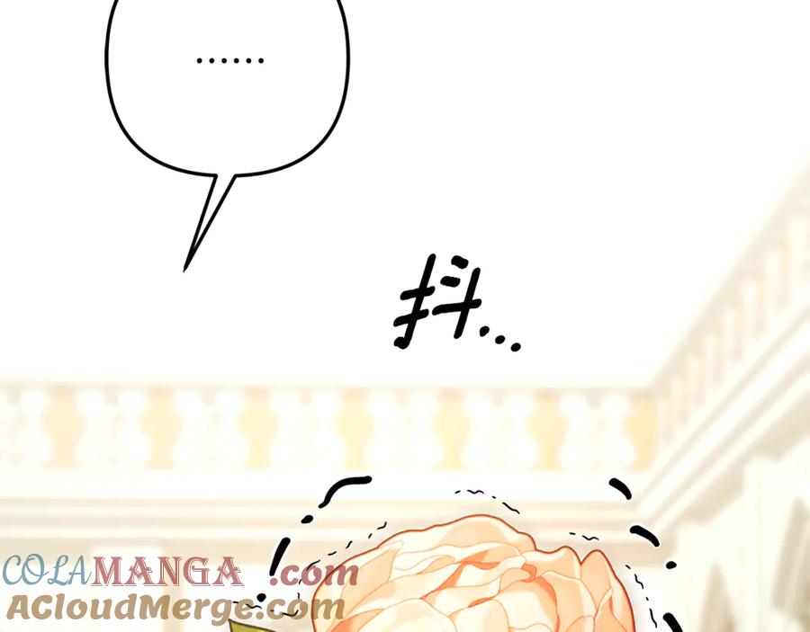 第409页