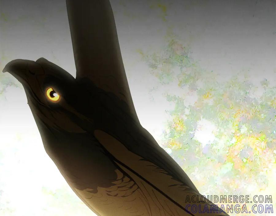 第209页