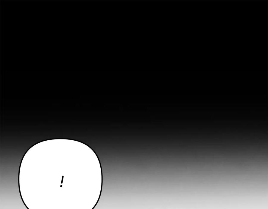 第239页