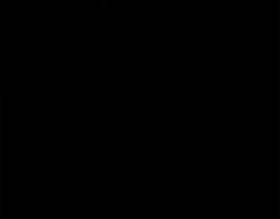 第371页