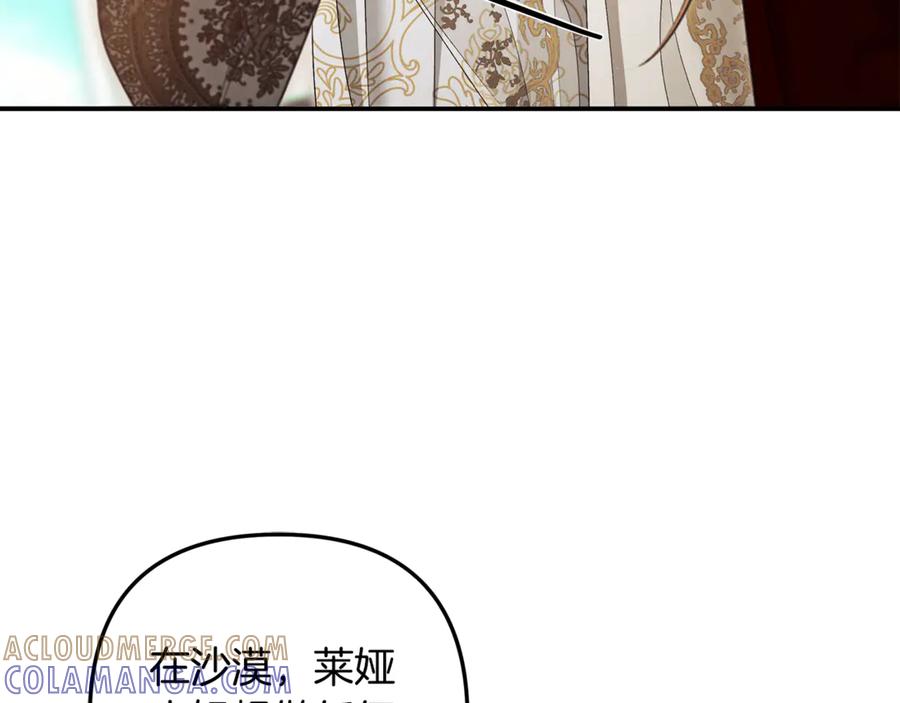 第241页