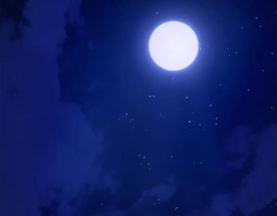 第251页