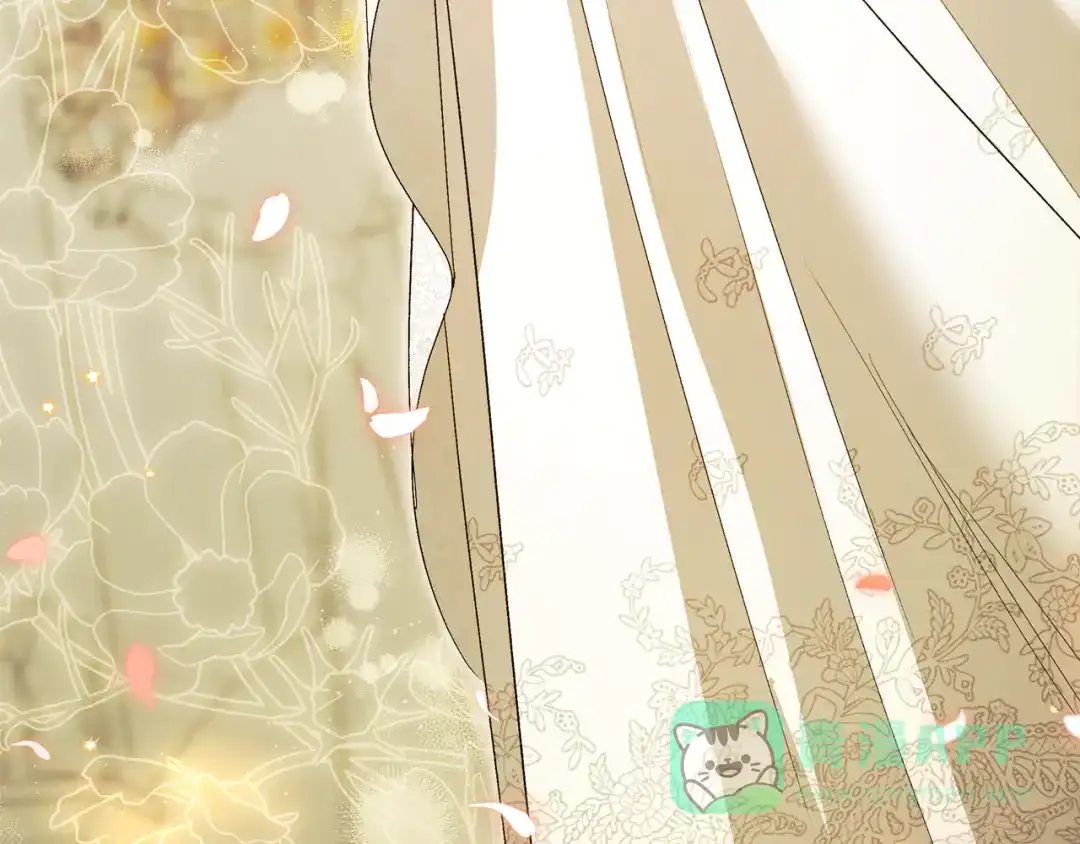 第231页