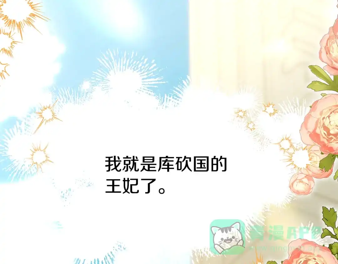 第251页