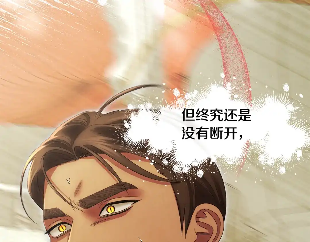 第237页
