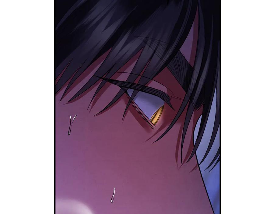 第232页