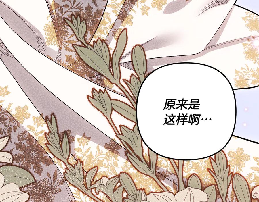 第254页