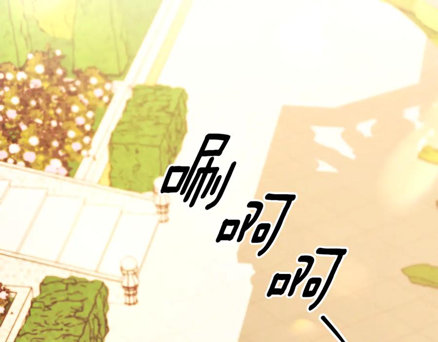 第342页