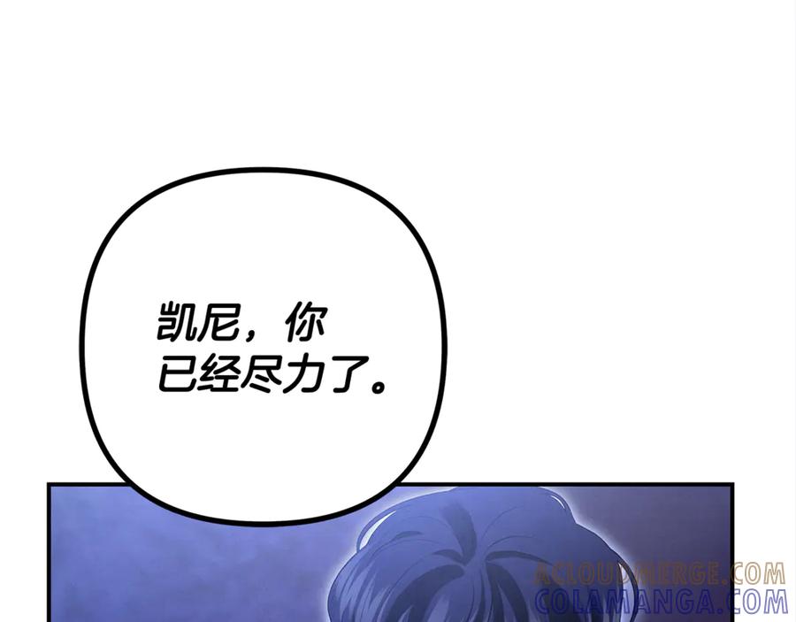 第250页