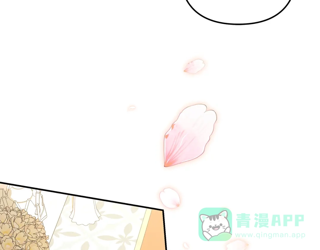 第282页