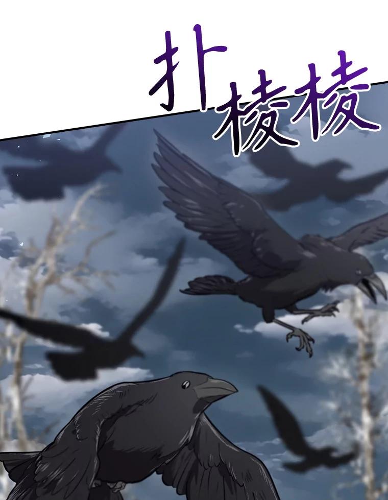 第211页