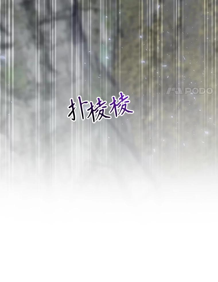 第259页