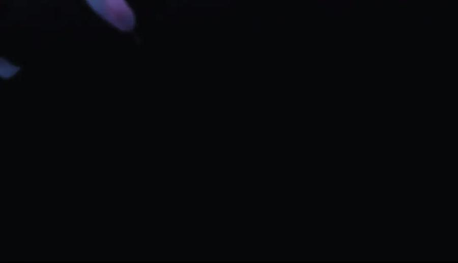 第219页