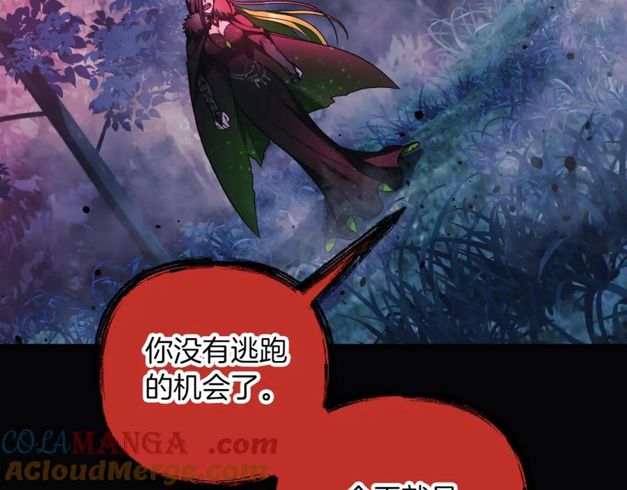 第221页