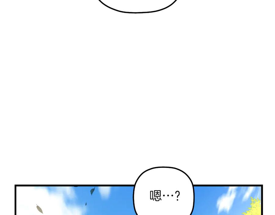 第215页