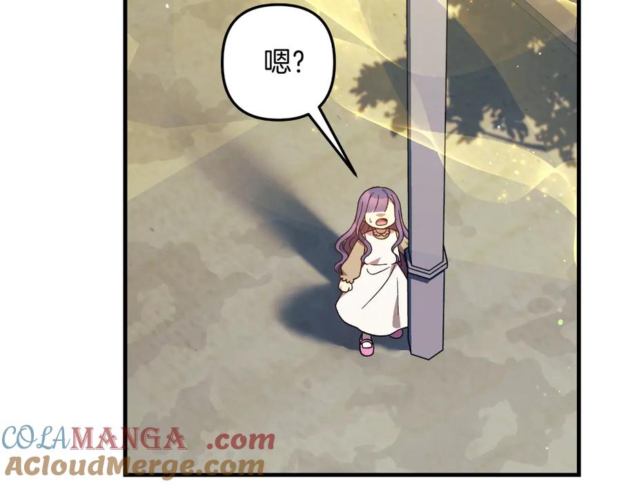 第213页