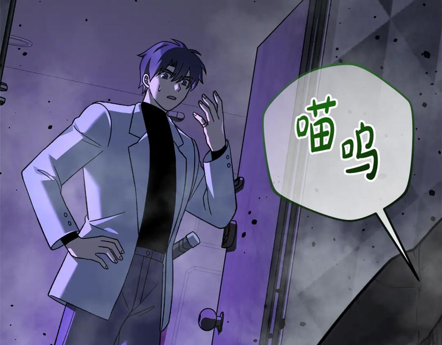 第248页