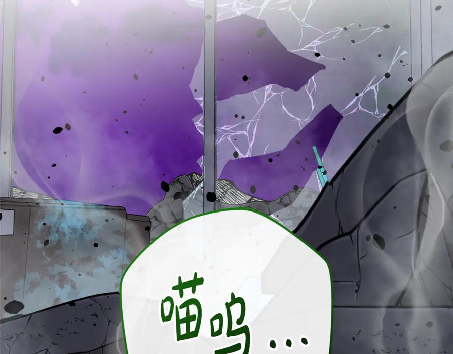 第252页