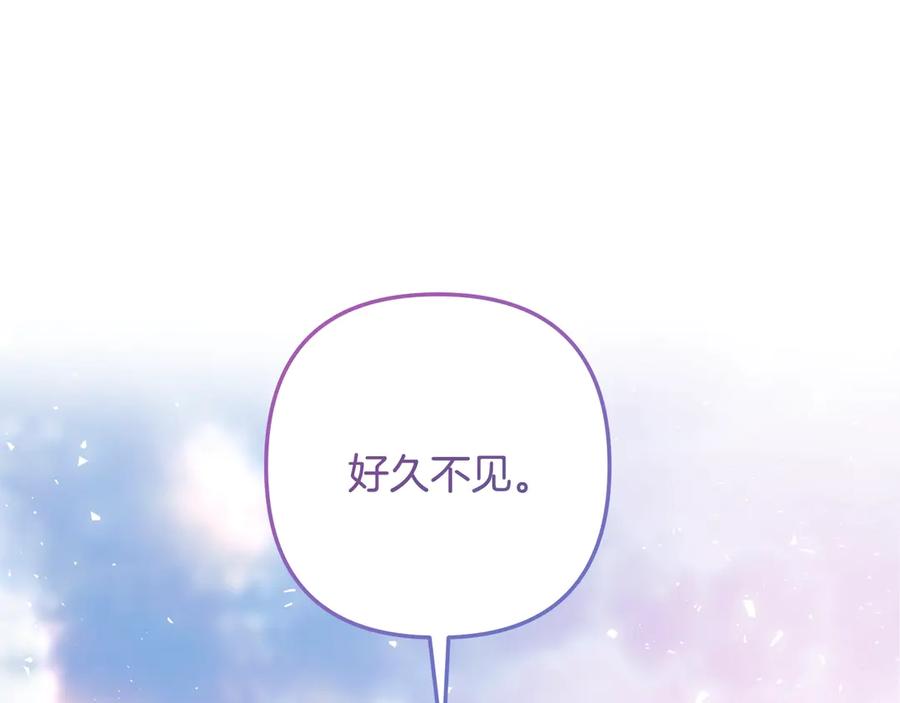 第224页