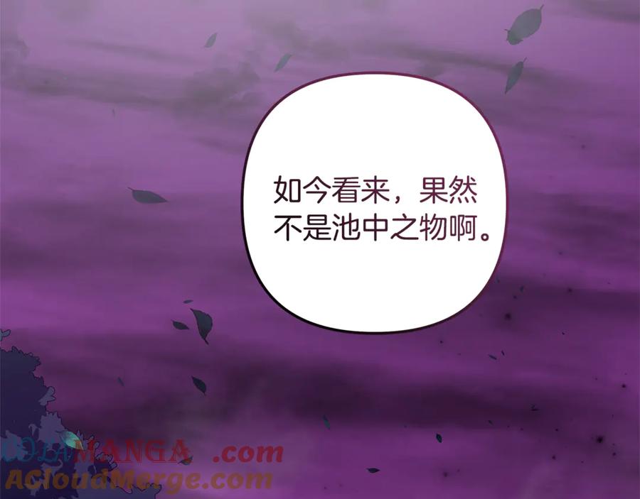 第229页