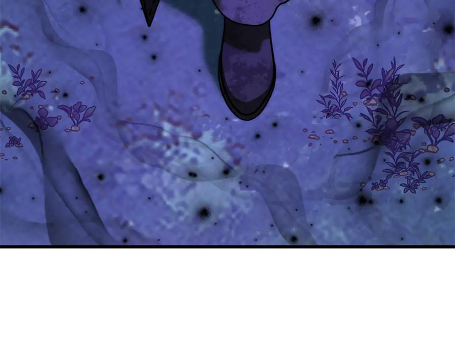 第256页