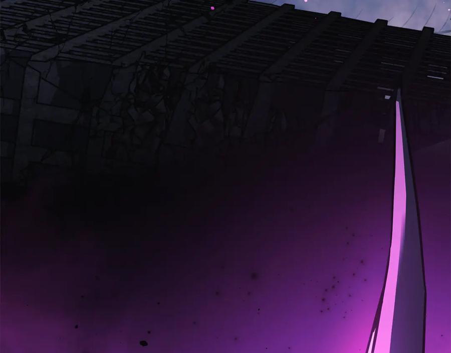 第224页