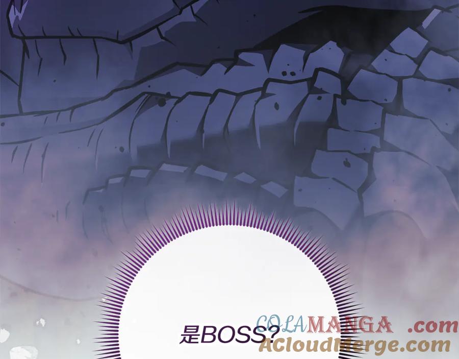 第229页