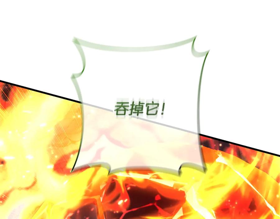 第215页