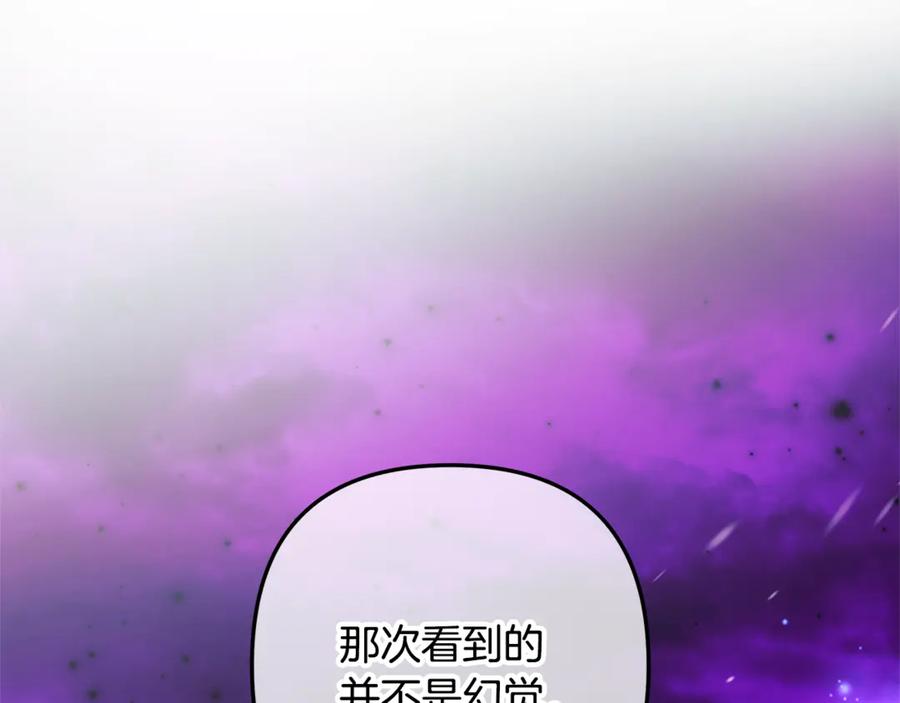 第260页