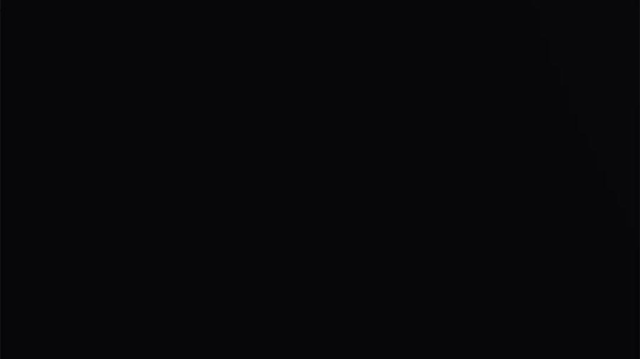 第224页