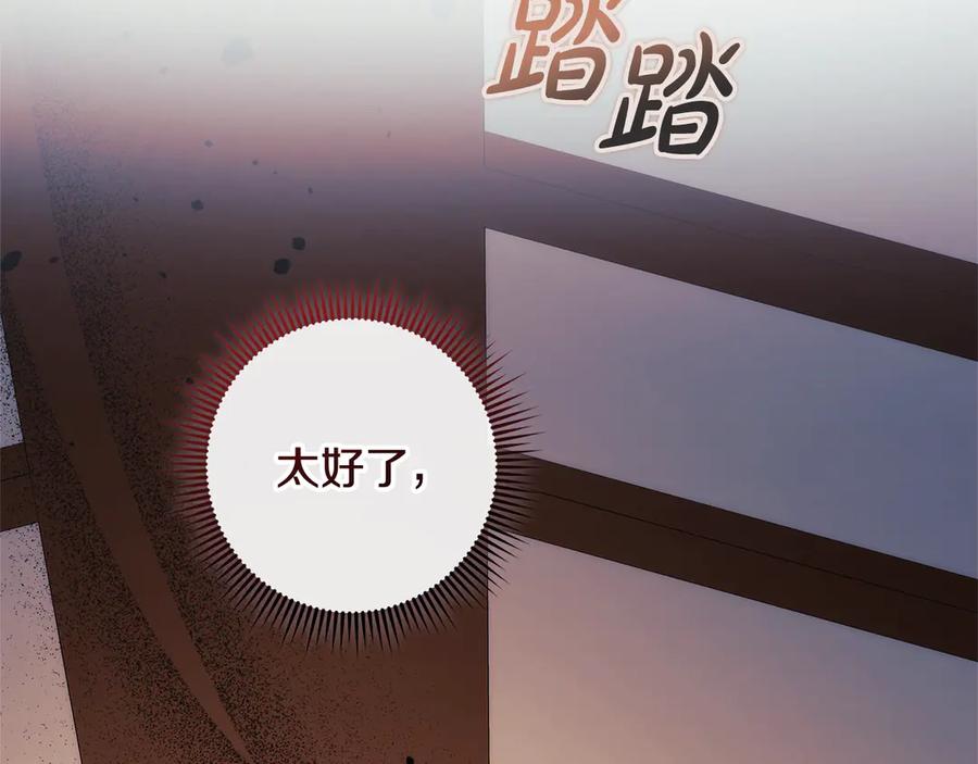第240页