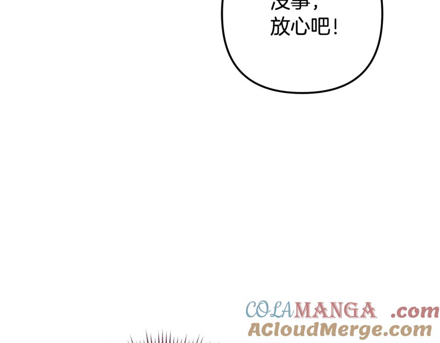 第221页