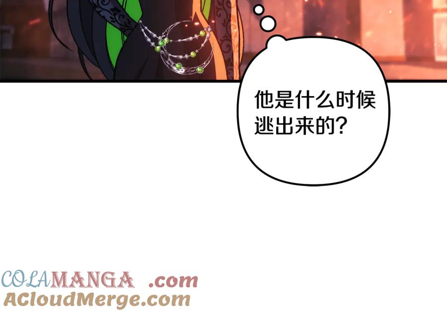 第185页