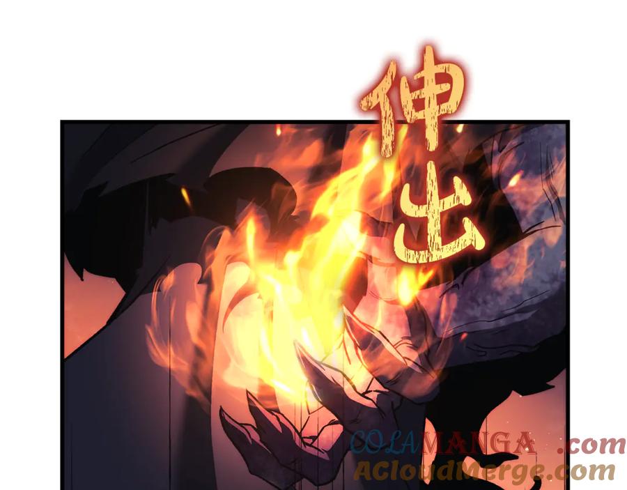 第205页