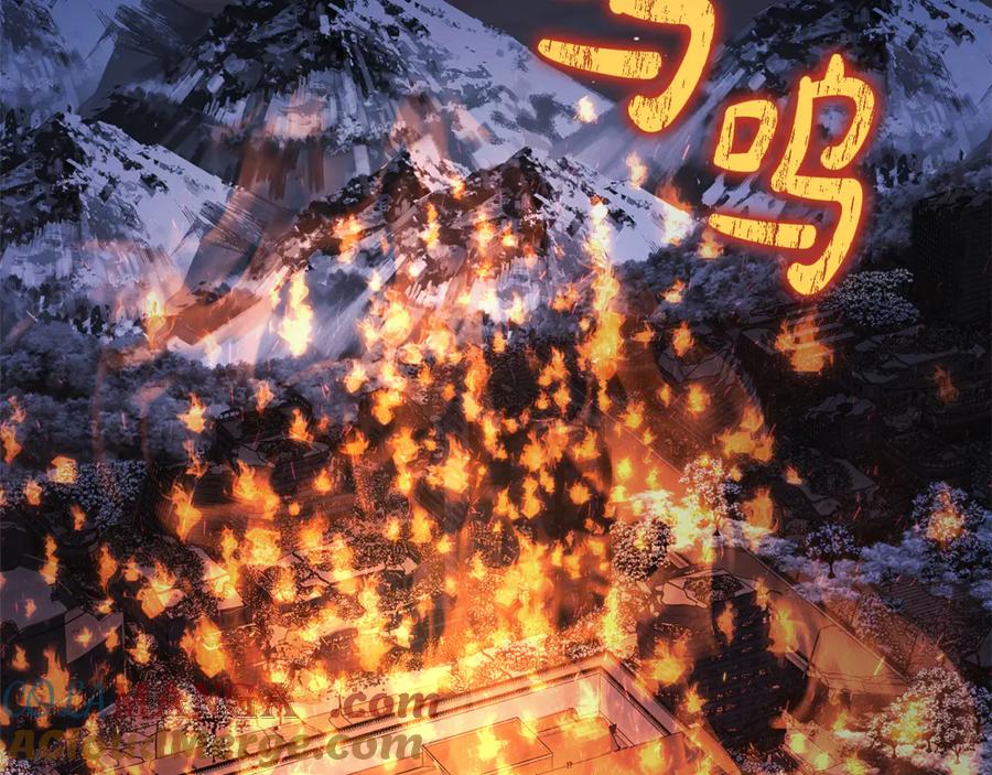 第233页