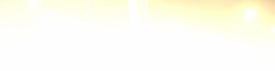 第242页