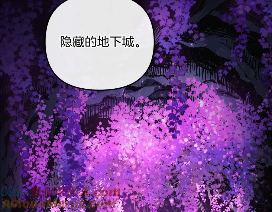 第257页