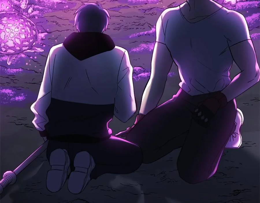 第259页