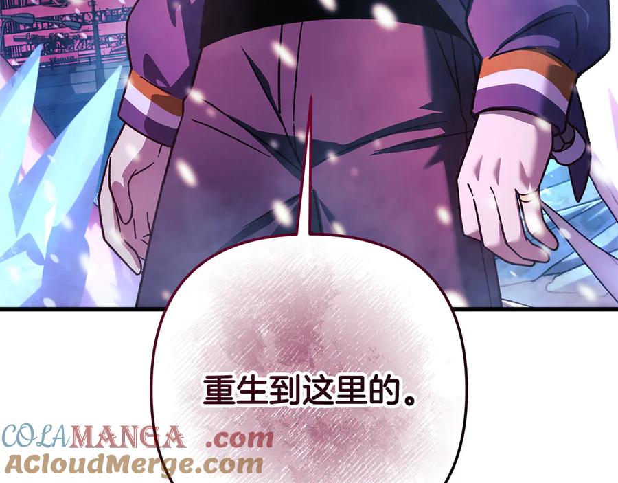 第233页