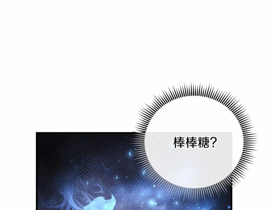 第256页