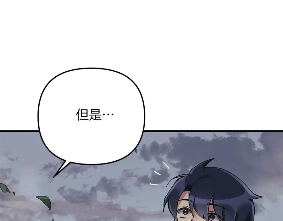 第204页