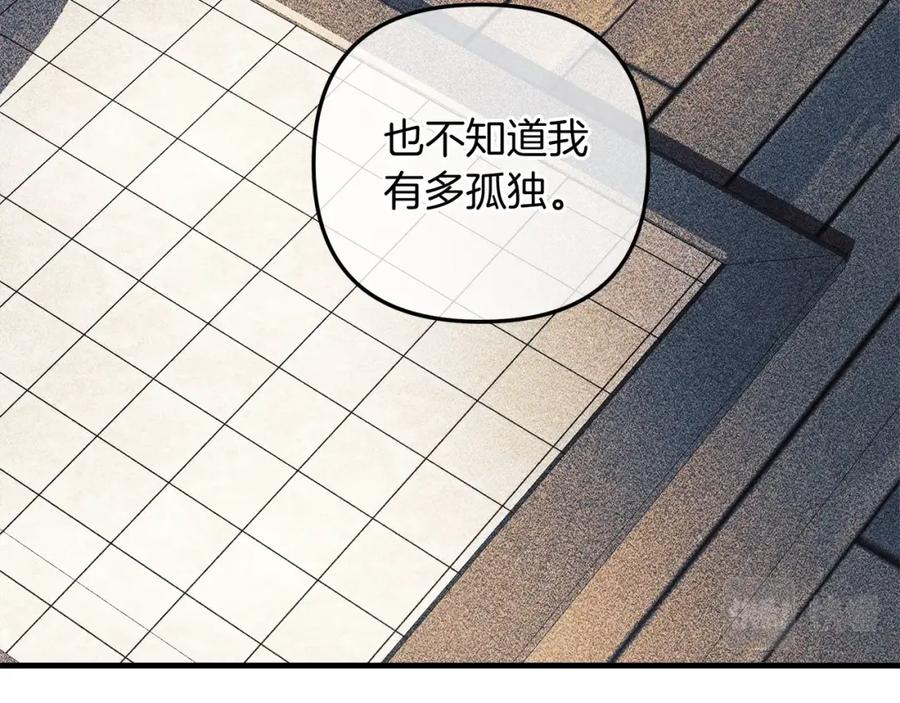 第244页