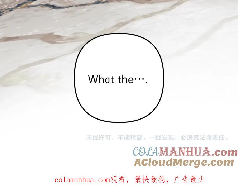 第221页