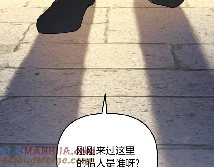 第245页