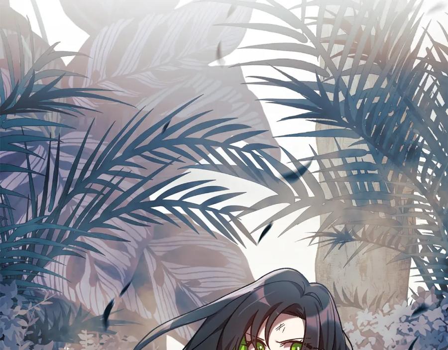 第240页