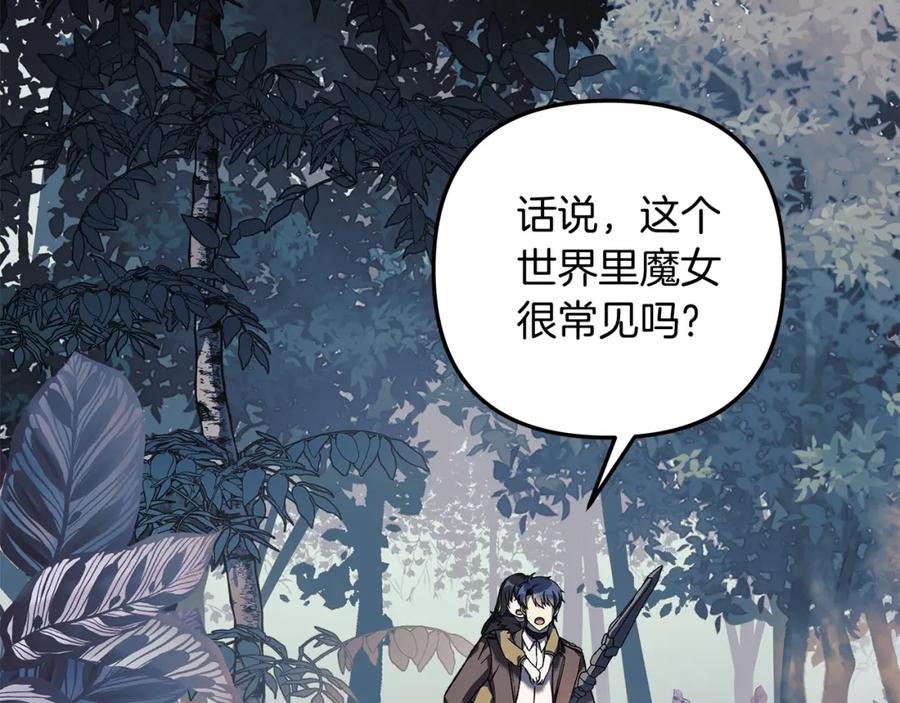 第204页