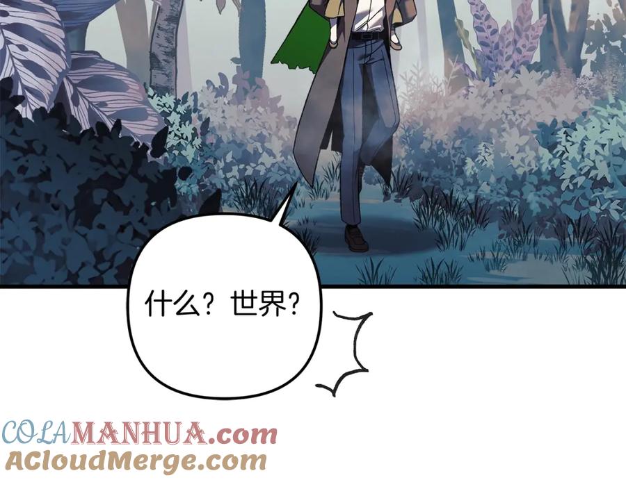 第205页