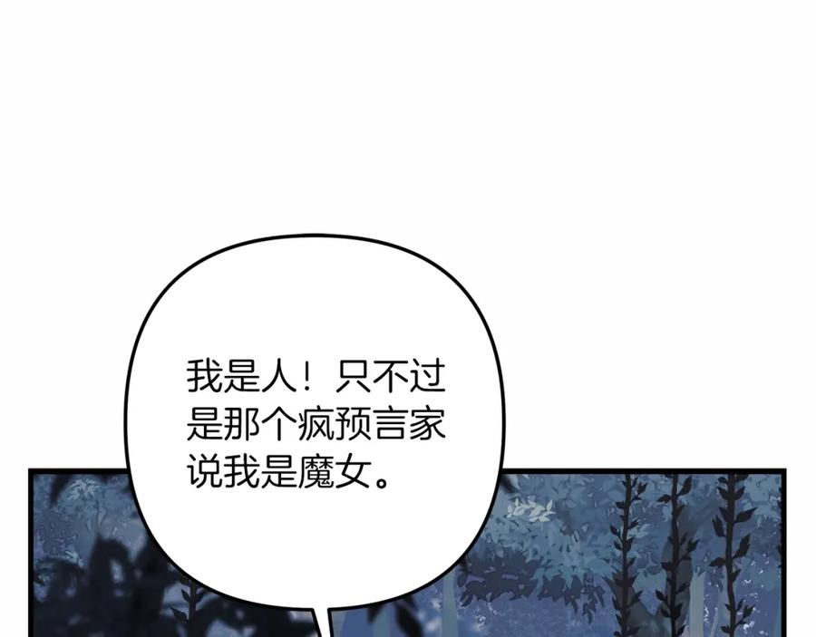 第215页